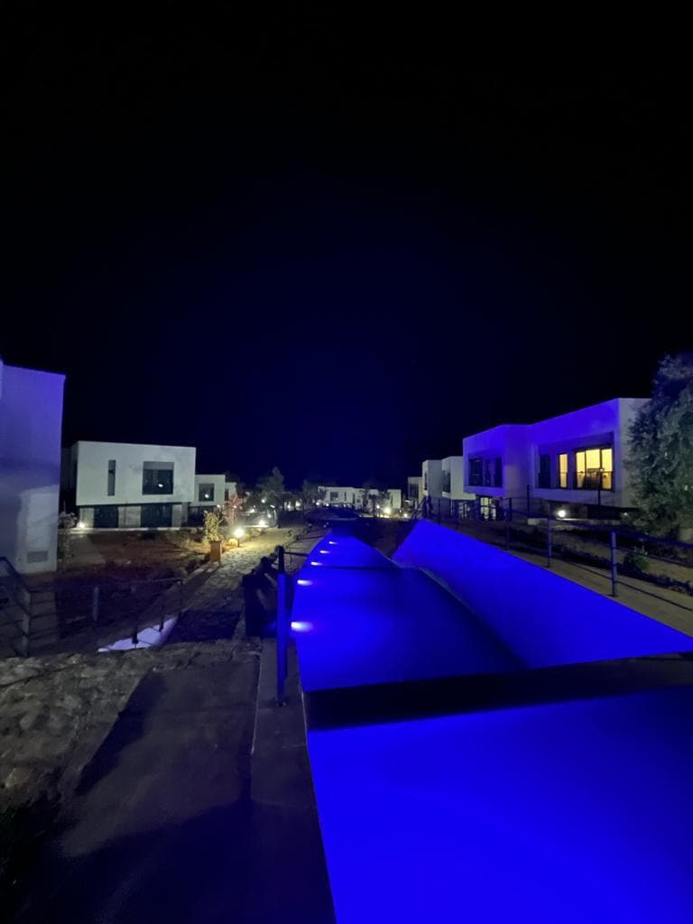 Peyzaj Entegrasyonlu Dekoratif Süs Havuzu - 2